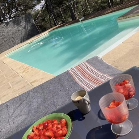 Villa Piscine 6Km De Cassis 12 Couchages Roquefort-la-Bédoule Dış mekan fotoğraf